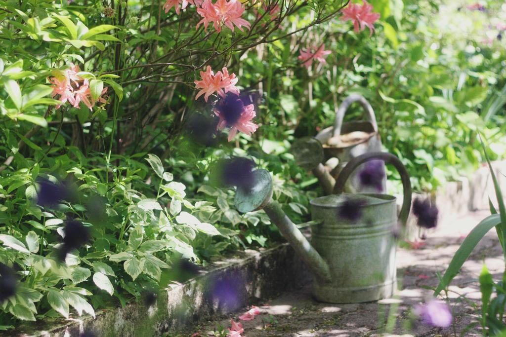 Bed and Breakfast Le Bonheur A La Campagne Lesmont Exterior foto