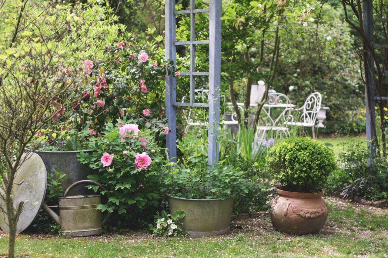 Bed and Breakfast Le Bonheur A La Campagne Lesmont Exterior foto